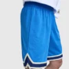 10-Zoll-Gridiron-Wendeshorts, Script Logo